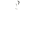 woundedwarriorproj